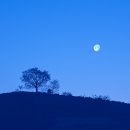 블루 blue 이미지