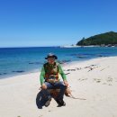 용화해변 Daum카페
