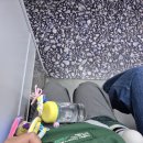 춘천수선 | 춘천 영화제 1박2일 뚜벅이 여행 후기 | 추천 코스
