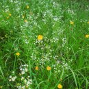 처갓집양념치킨 정관롯데캐슬점 이미지