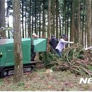 절물생태관리소 (절물자연휴양림) 이미지