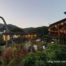 운학민박 | 용인 닭백숙 맛집 추천! 복날 앞두고 아이랑 가기 좋은 직접 다녀온 맛집 3곳 총정리