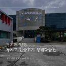 경기도 양평 가볼만한곳 민물고기 생태학습원 이용후기