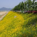피어나공주