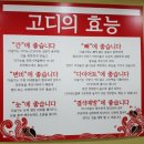 착한고디탕 네이버블로그