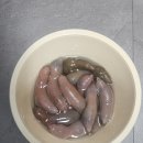 최가네민박 이미지