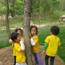 가락본동어린이집 이미지