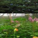 만항적조암 이미지