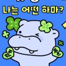 하마볼