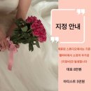 뮤즈결혼정보 이미지