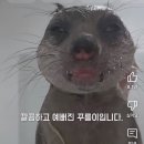 문예관 | 익는다 익어…