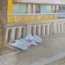 동래경찰서 이미지