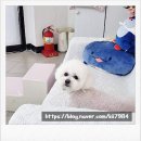 임광슈퍼 이미지