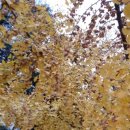 관호농장 이미지