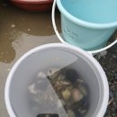 갯벌이야기펜션 이미지