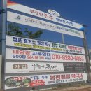 신안동 보조경기장 앞 이미지