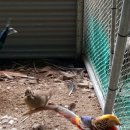 금계로1 이미지