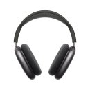 맥스생명공학 이미지