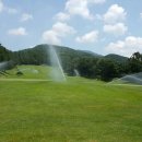 통도파인이스트골프아카데미스쿨 | 통도 파인이스트 골프아카데미 동계 및 하계훈련 프로모집