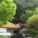 마루주막 이미지