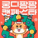 빅빅캣 이미지
