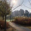 동탄호수공원 풋살장