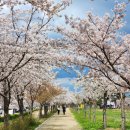 CU강릉경포해변점 | 강릉 오션뷰 숙소 해변을담다 경포 감성 독채 펜션 후기