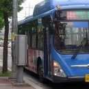 안암입구 솔밭 이미지