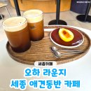 세종애견 | 세종카페 '오하 라운지' 세종애견동반카페 방문 후기♥