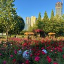 청라근린공원 이미지