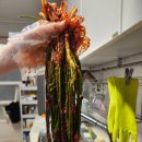 김치공장 | [해천식품우리집김치] 짜파게티&amp;카레 짝꿍! 쪽파김치맛집 김치배송 솔직후기 (한국인이 관리하는 공장?)