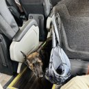 다대5지구(20)푸른아파트 | 🇦🇷아르헨티나 엘 칼라파테: 모레노 빙하에서 우아하게 빙하 위스키 한 잔! 라구나 니메즈 습지 한 컷!