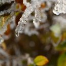 사회복지사 1급 이론 - 인간행동과 사회환경 이미지