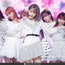 비올레타