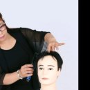 가발히트모