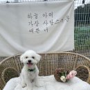 몽베이 이미지