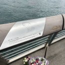 춘자46 | 여행] 춘절에 떠난 홍콩 자유여행 :: 마카오 레스토랑 (춘자 또간집), 미슐랭 청흥키 딤섬, 스타의 거리...