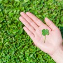 대전광역시 교육청 이미지