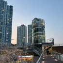 세븐일레븐 부산센텀민락교점 네이버블로그