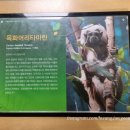 서천군재활용처리시설 | 서천 국립생태원 할인 팁 &amp; 관람 코스 정리