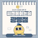 씨앤에이논술차오름학원