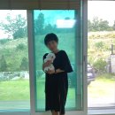 대전애견경매장 | 이천강아지분양 여주/용인비숑프리제분양후기정보!!:D