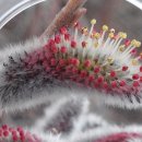 오늘도 스터디 이미지