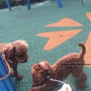 신구약국 이미지