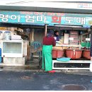 영아엄마회도매 이미지