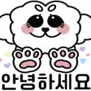 훈이애견 네이버블로그