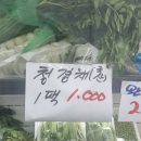 야채랑과일천국 - 파주시 문향로 59-1 | 야채랑과일천국