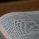 5분 카드 영어 3단계 말하기 - 문장 편 | 5분이면 붙는 영어 습관, 링고라 실사용 후기 1 대 1 무료 체험으로 부담 없이 시작하는 법