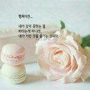 마인드7