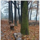 여주자영농업고등학교 이미지